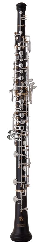 155 AM, Pro Soloist Model